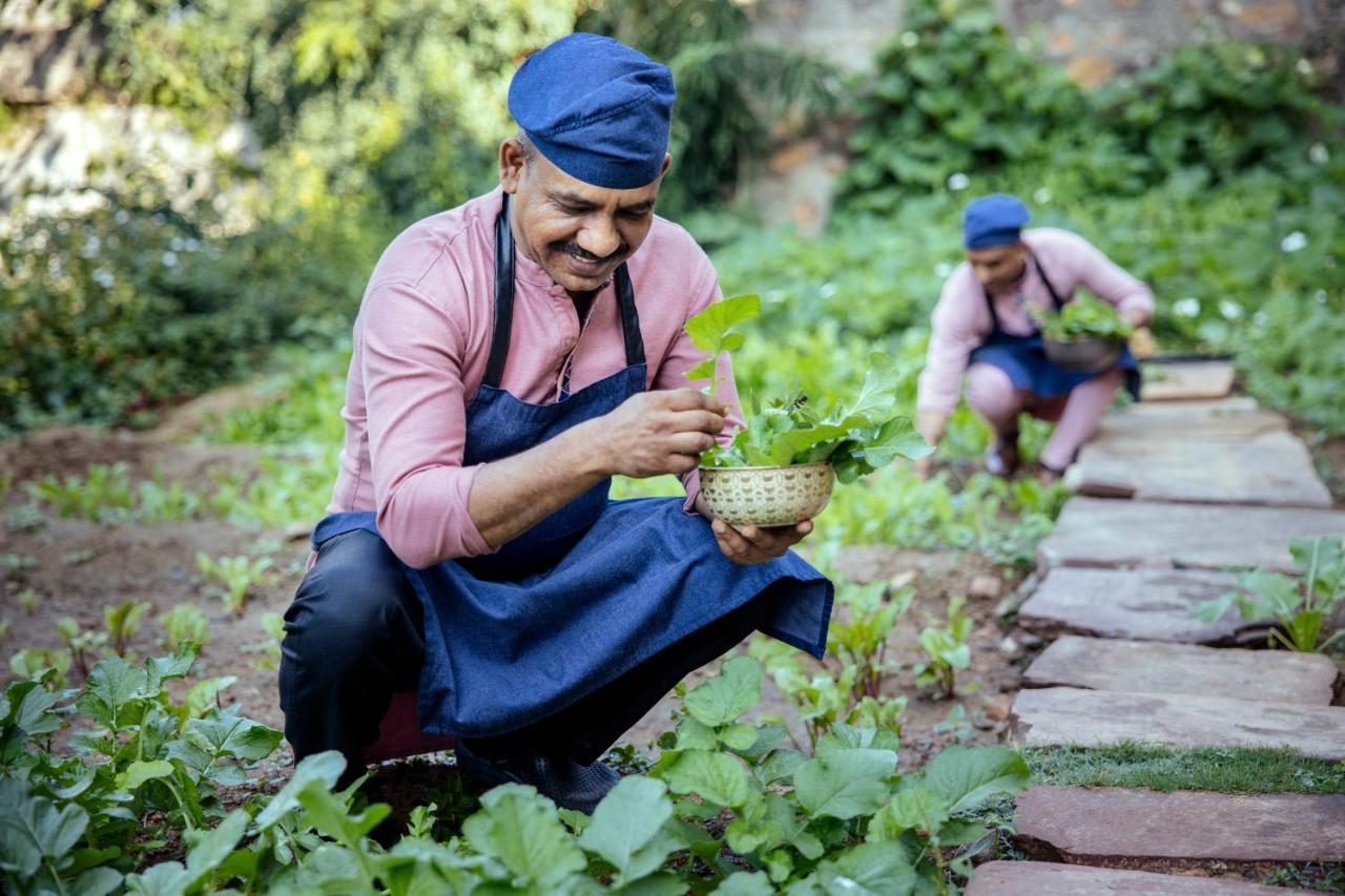 Six Senses Fort Barwara Sawai Madhopur Eksteriør billede